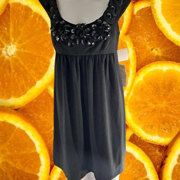 NEW Morgan McFeeters Mini  Dress with Jewel Neck Size‎ 6 - Picture 2 of 7